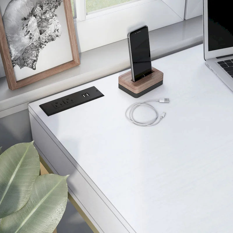 Modern 42-inch Metal Computer Desk with USBs by
